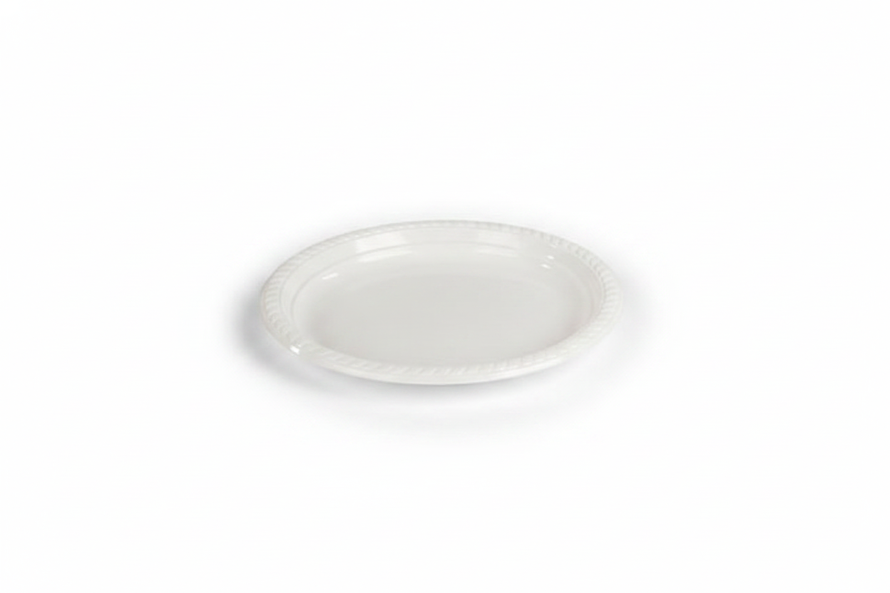 צלחת צבעונית 9 /לבן